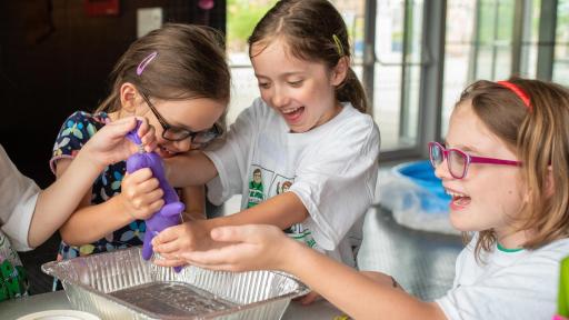 Campers are put in charge of managing their own farm as they learn the basics of running a business. They learn about fundamental coding techniques and DNA syntheses.