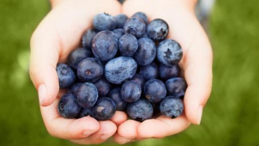Handful of blueberries