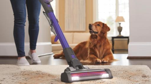 Cordless vacuum sweeping next to a dog.