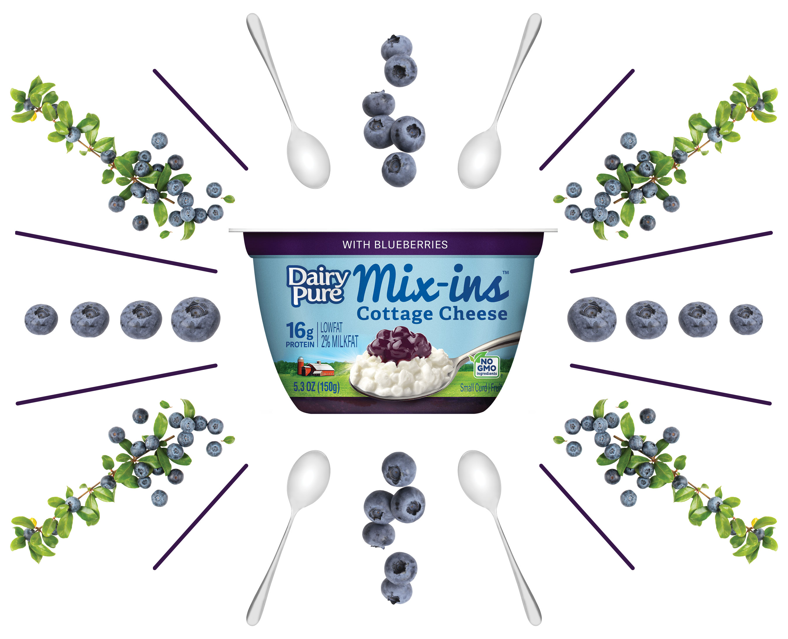 DairyPure Mix-ins Blueberry