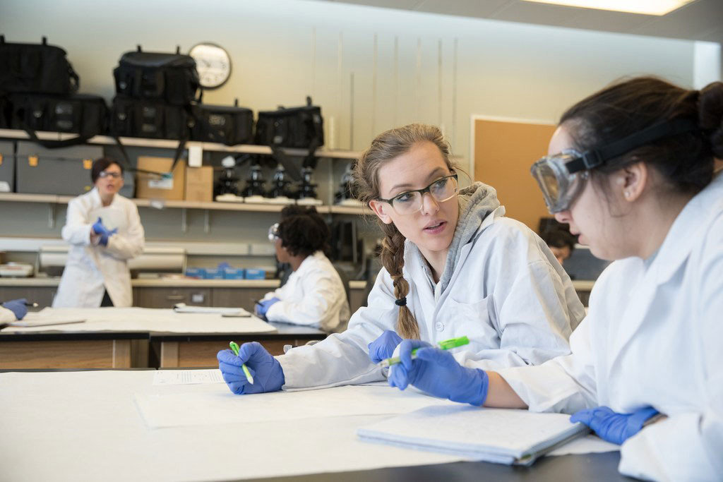 Build on your passion of science and legal investigations in GCU’s forensic science program.