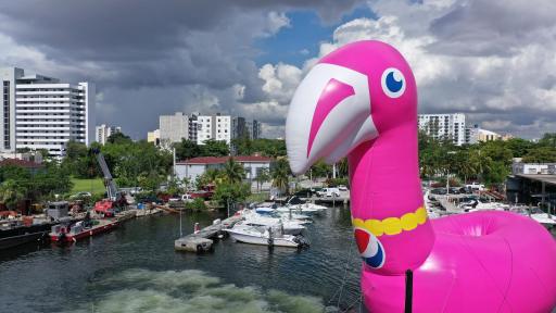“Always Pool Ready” Pepsi #Summergram Flamingo along Biscayne Bay