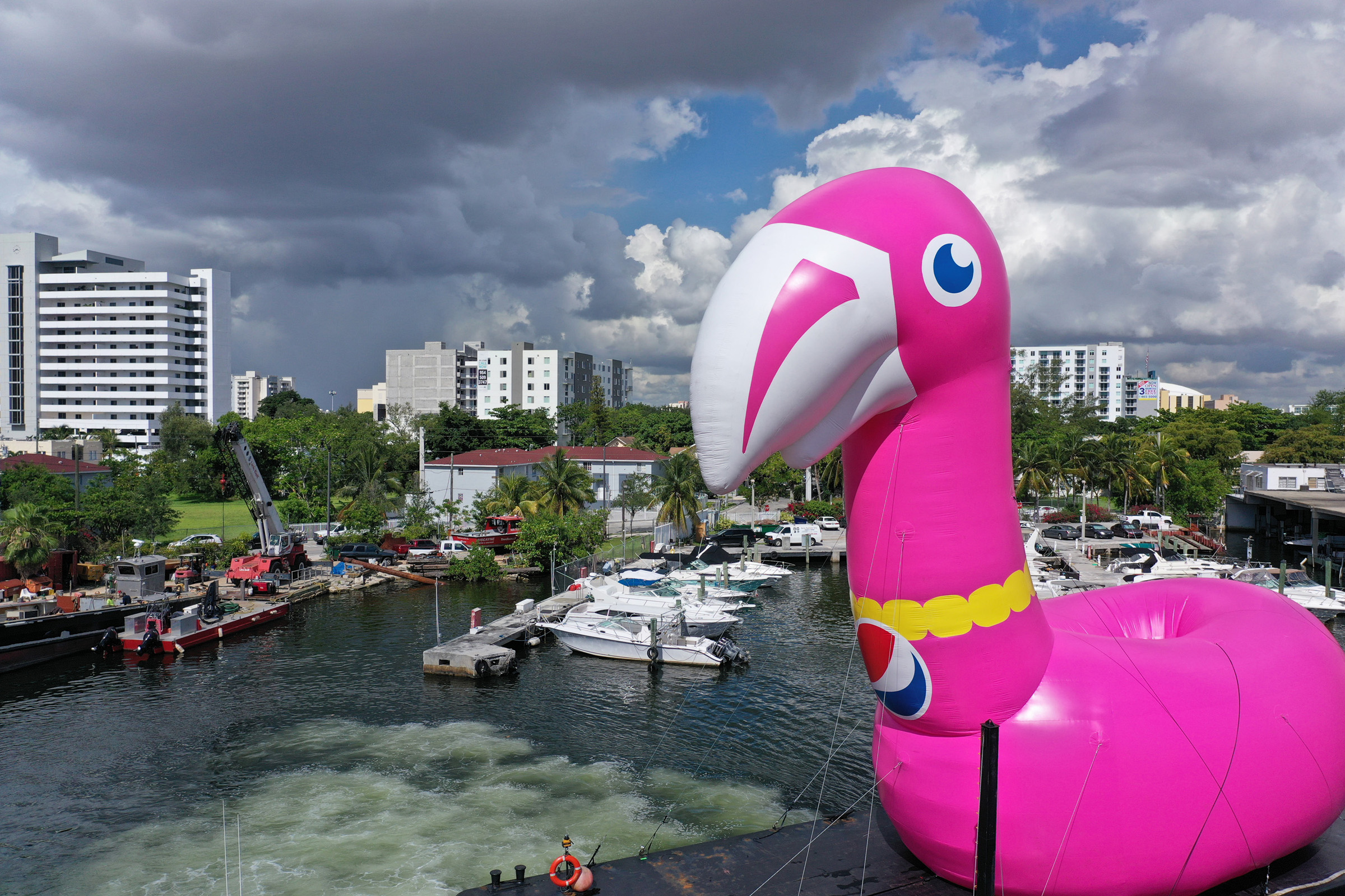 “Always Pool Ready” Pepsi #Summergram Flamingo along Biscayne Bay