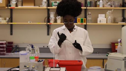 With LabXchange’s interactive lab experiments, students have access to one of the most central aspects of being a scientist: working in a laboratory.