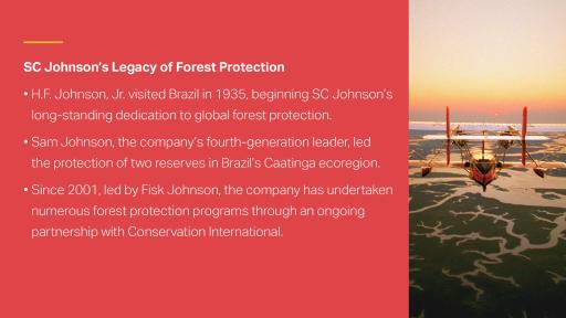 SC Johnson has been committed to forest protection for generations.