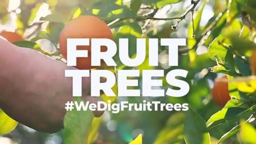 Planting 200,000 fruit trees will generate more than 28 million pieces of fresh fruit and more than 33 million pounds of oxygen, every year, as well as reduce CO2 and air pollution in communities that need it most.