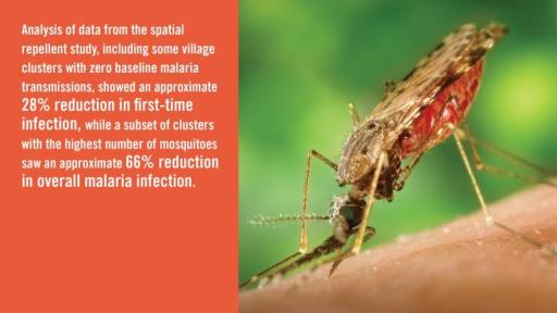Results from a recent University of Notre Dame study show a promising path for spatial repellents as a tool in the fight against malaria.