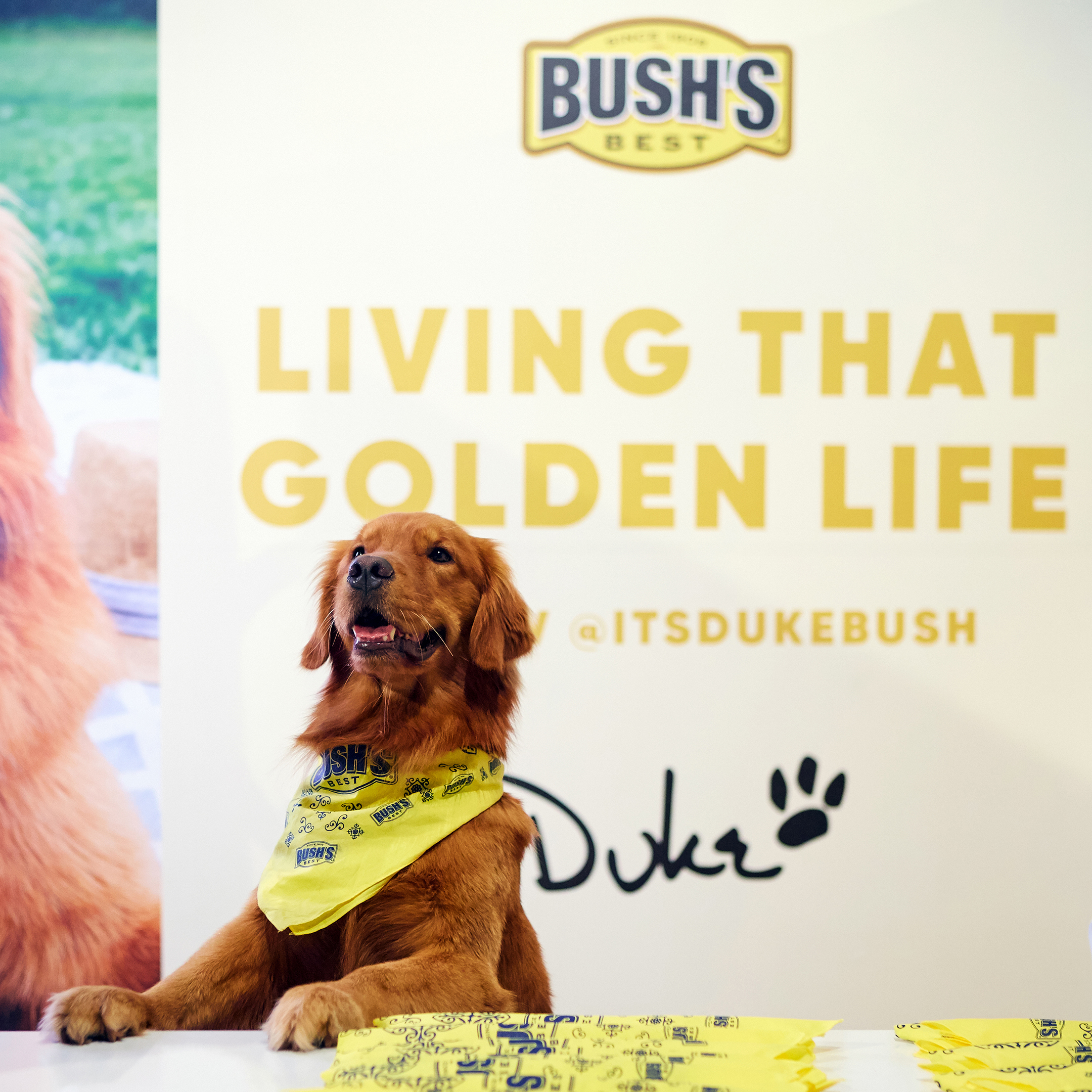 Duke greeted PetCon Los Angeles attendees at the BUSH'S booth on Saturday, June 22.
