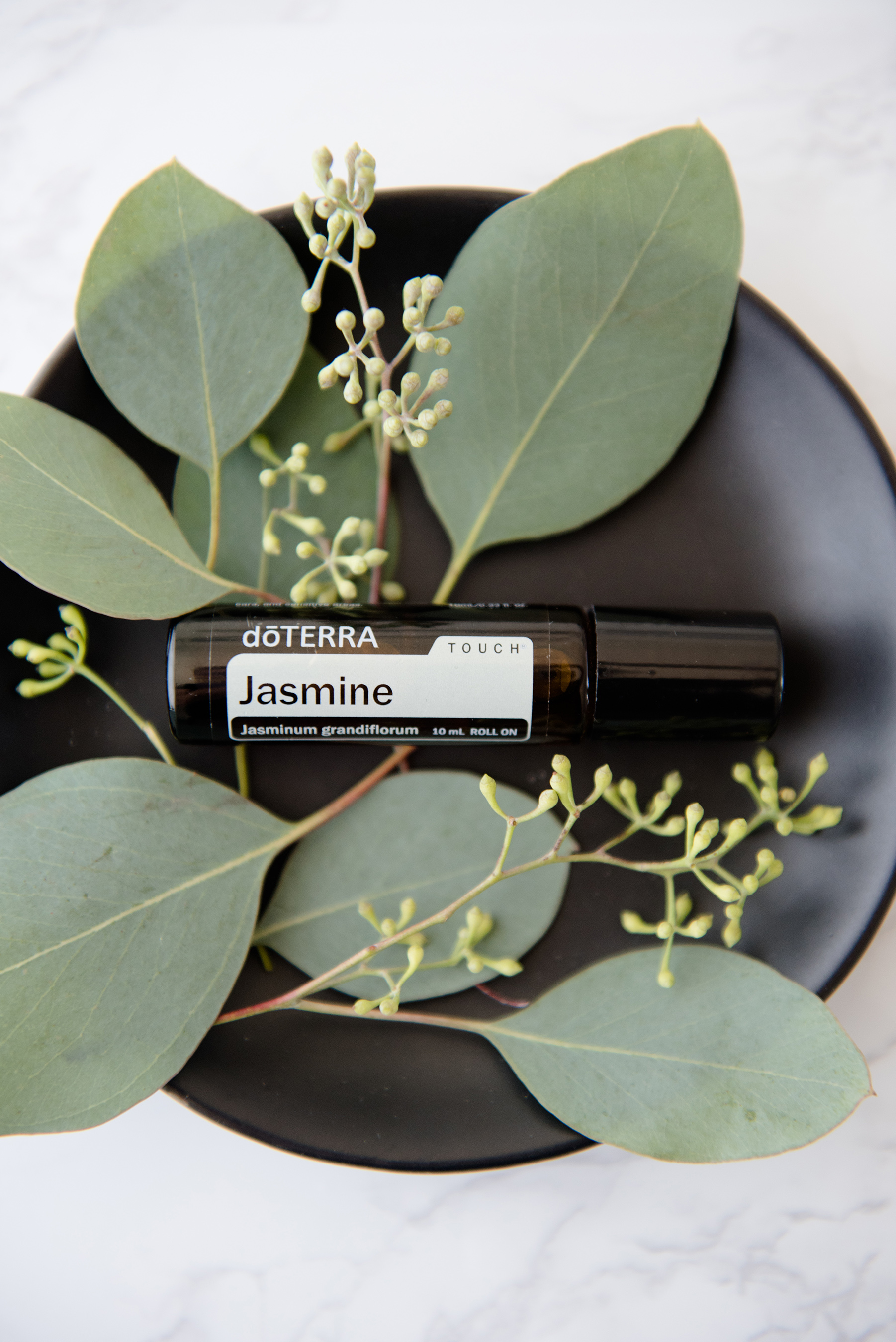 Jasmine, regarded as the “King of Flowers,” uplifts mood and promotes a positive outlook. Jasmine, regarded as the “King of Flowers,” uplifts mood and promotes a positive outlook.