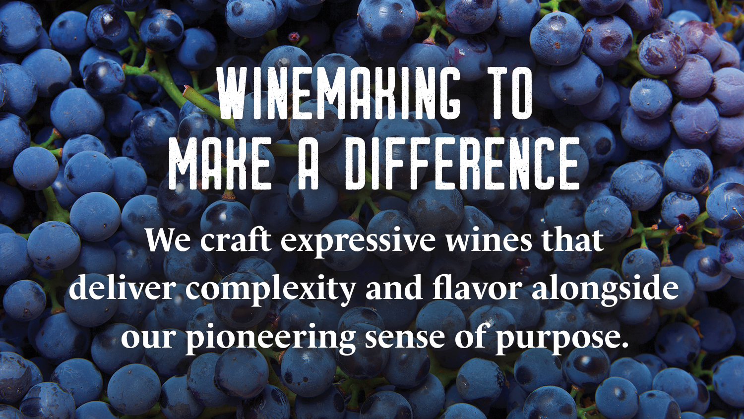 Wine Grounded in Good: Fetzer Vineyards Details Its Regenerative Development Progress