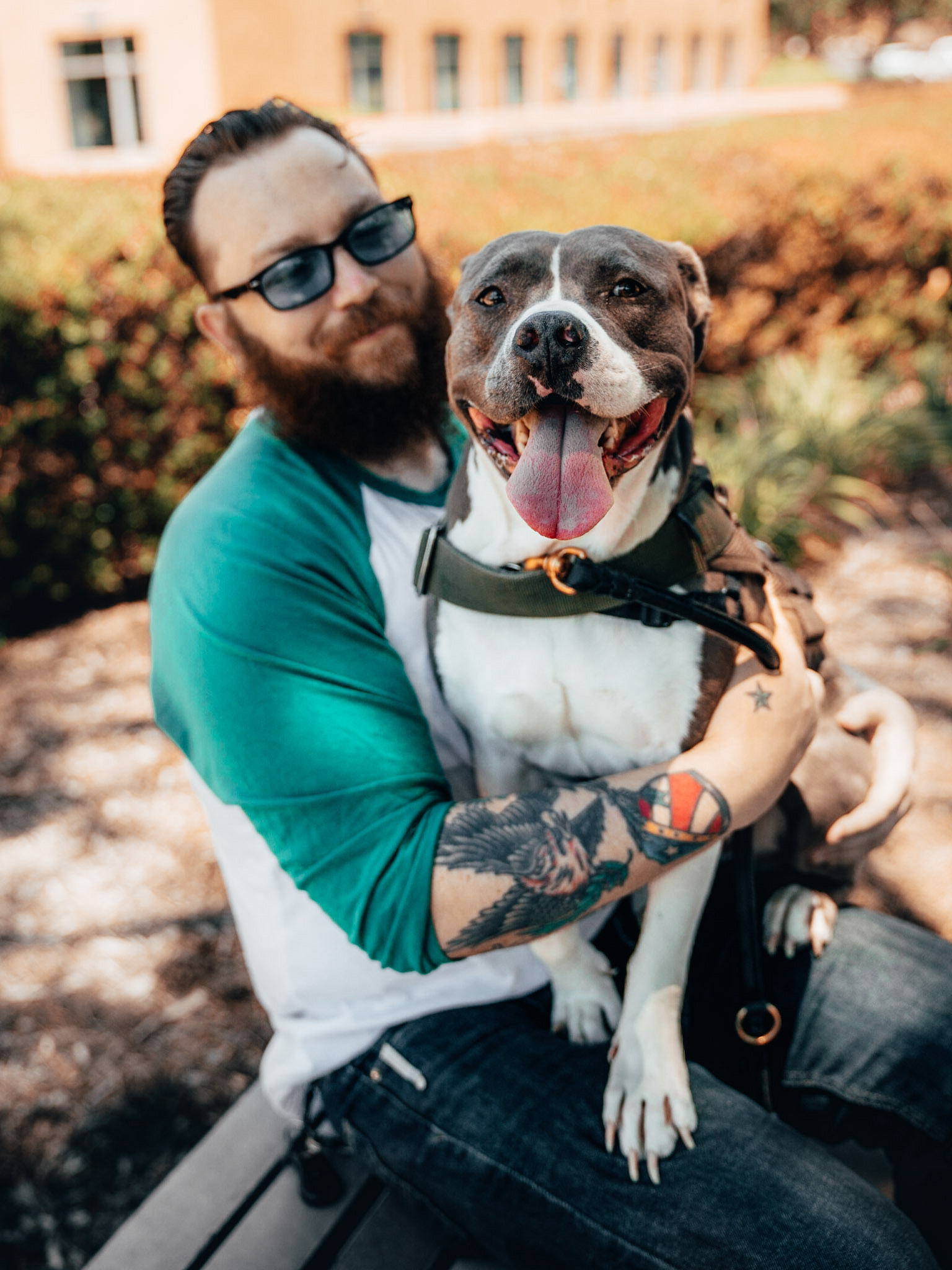 David, a Marine veteran with his service dog Katie, a Staffordshire terrier mix. David graduated from Tony La Russa's Animal Rescue Foundation’s Pets and Vets program in 2017. ARF has once again partnered with Purina Dog Chow for its second annual “Service Dog Salute” campaign to raise awareness on how military veterans suffering from PTSD and their families can benefit from having a service dog.