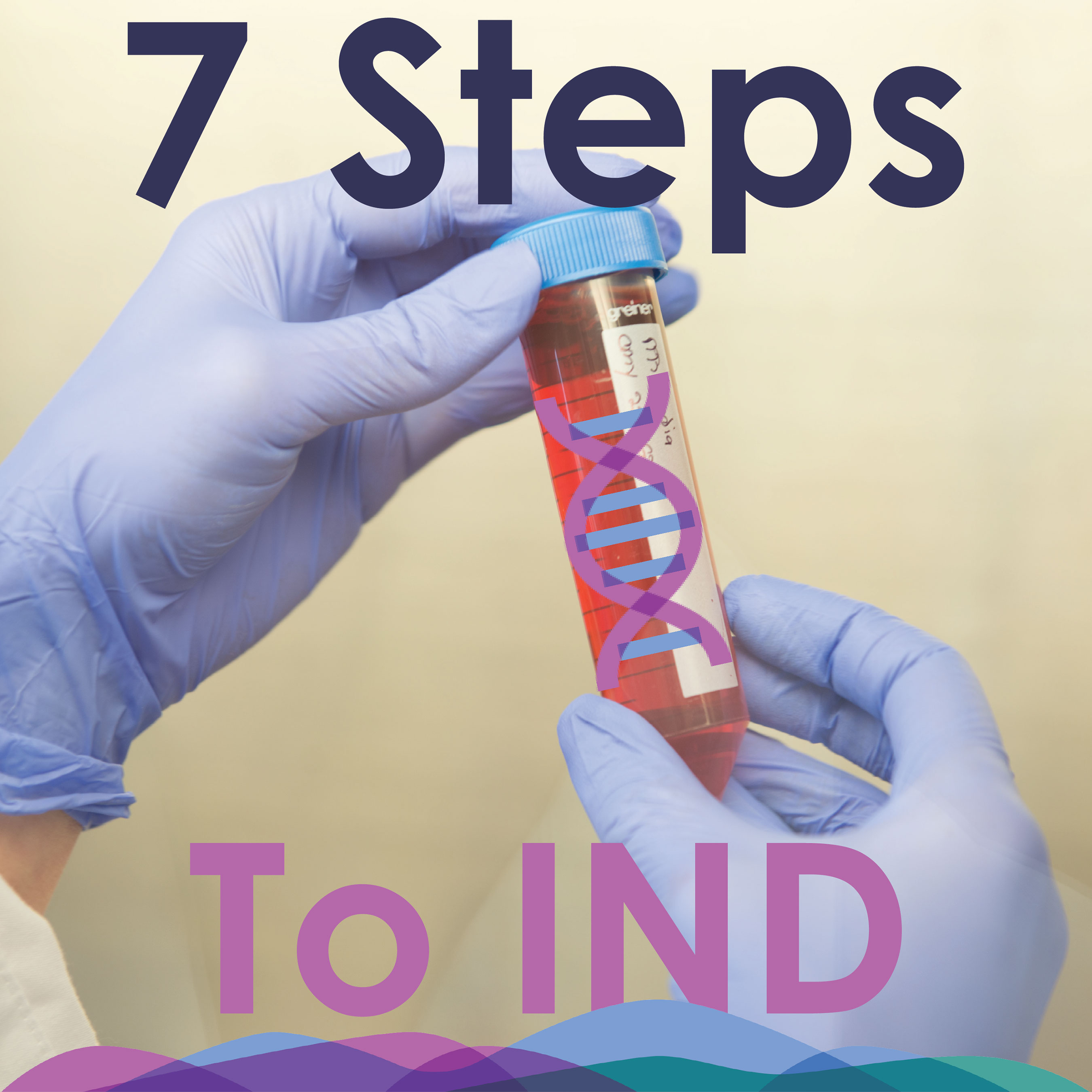 7 steps to IND