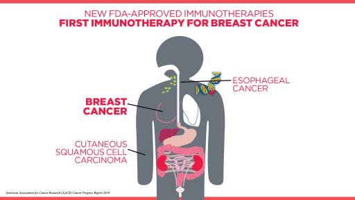 Immunotherapy Breast Cancer