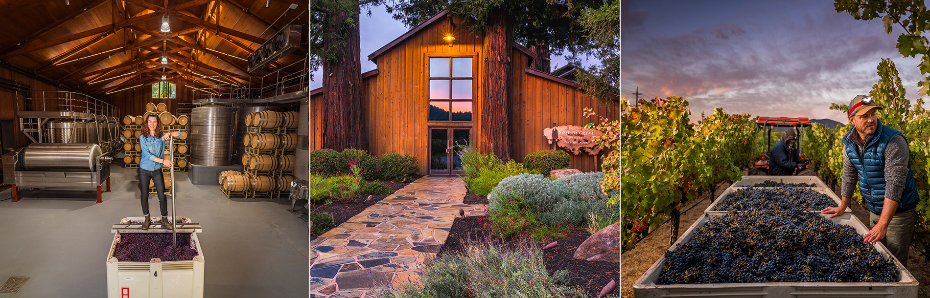 Sequoia Grove Celebrates 40th Harvest with Sustainability Certification