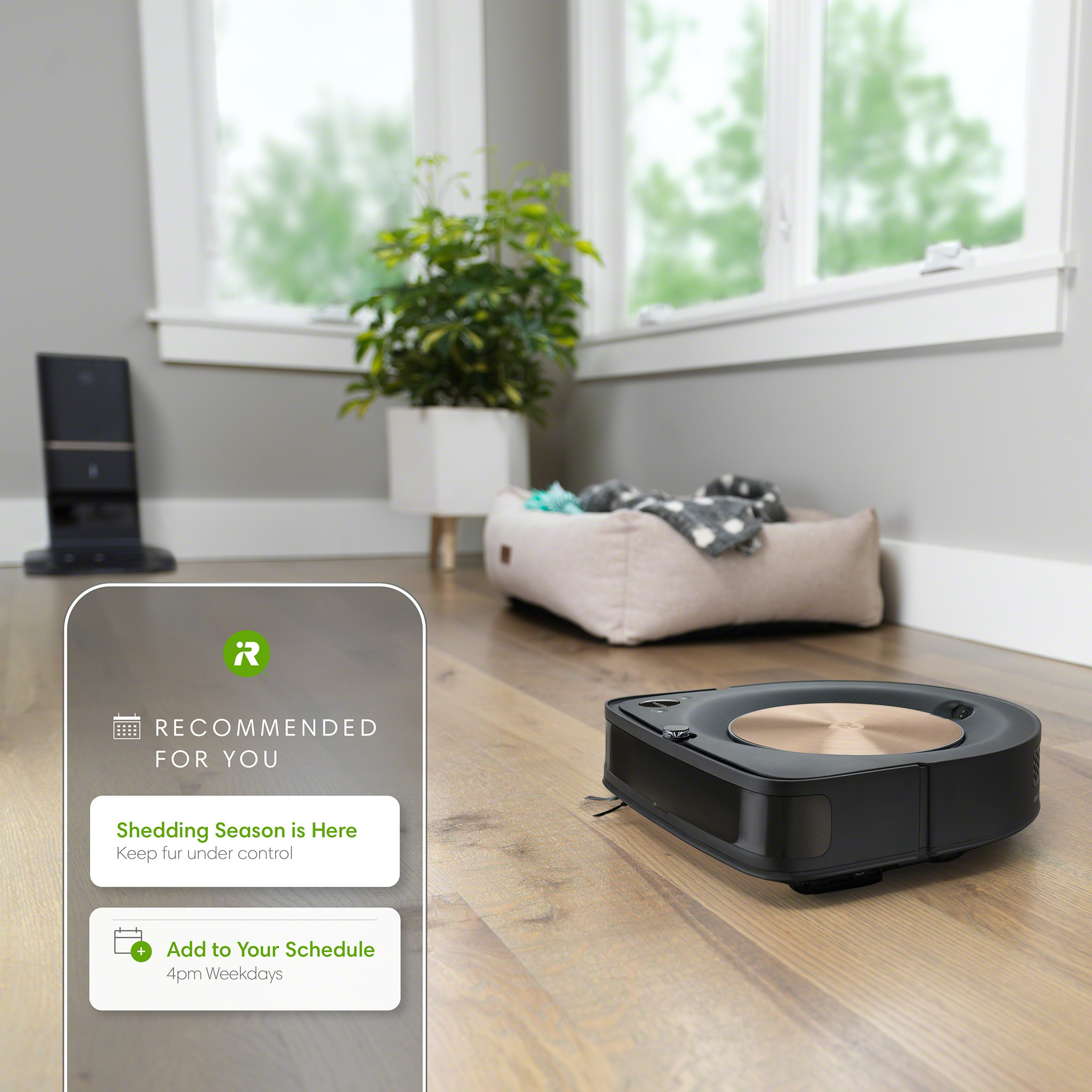 The new iRobot Home App can make personalized cleaning suggestions for when your home may need more frequent cleaning, such as pet-shedding or allergy seasons.