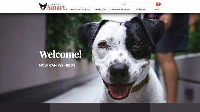 The Be Dog Smart website is a resource-rich guide that assists consumers throughout the entire dog acquisition process and into dog ownership.