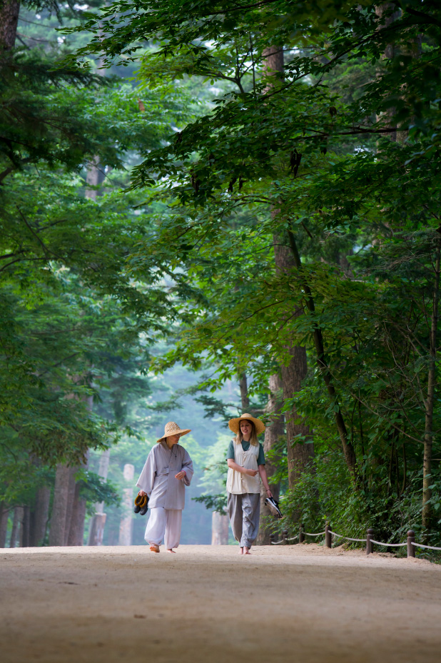 A monk and Templestay participant walk through the summer forest