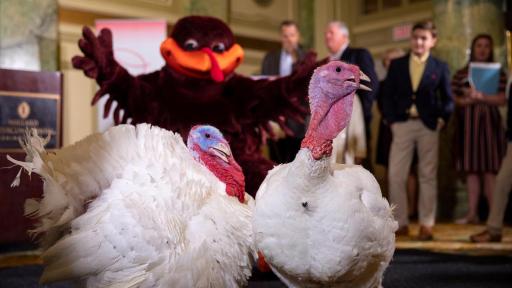 Bread and Butter meet the HokieBird and the public at their press conference. Photo Credit: Virginia Tech