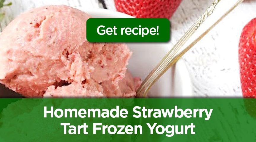 Homemade Strawberry Tart Frozen Yogurt