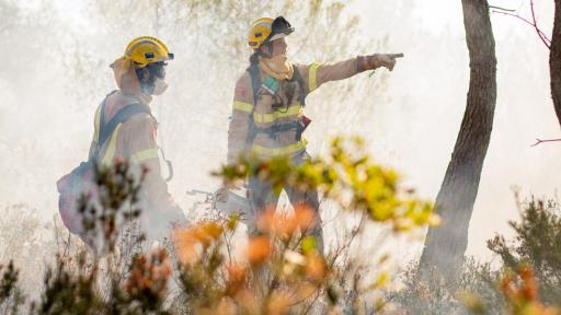 Prometeo, winner of the Call for Code 2019 Global Challenge, field tested their technology during a controlled burn near Barcelona, Spain.