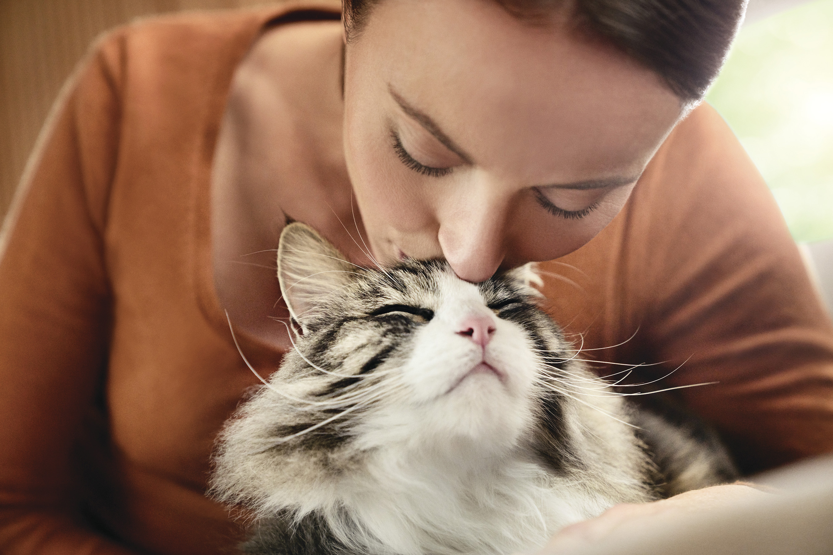 The bond that owners share with their cats is strong - a universal truth for all cat owners regardless of cat allergen sensitivities. A new survey from Purina Pro Plan in partnership with the Human Animal Bond Research Institute (HABRI), revealed that 84 percent of cat owners would dismiss the advice of a doctor if told to give up their cat to help manage cat allergens.