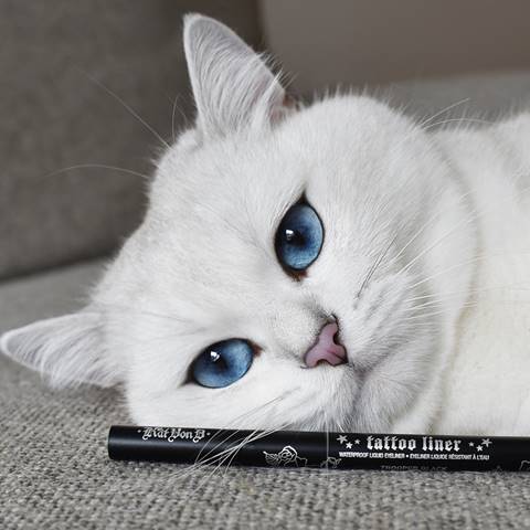 Coby the Cat in Cat Eyes For All Campaign for KVD Vegan Beauty's Tattoo Liner