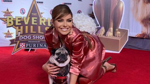“I love working with Purina to showcase how we are better together with our pets in both good times and challenging times. My three dogs and family can’t wait to tune in to this year’s show!” said award-winning journalist, Maria Menounos.