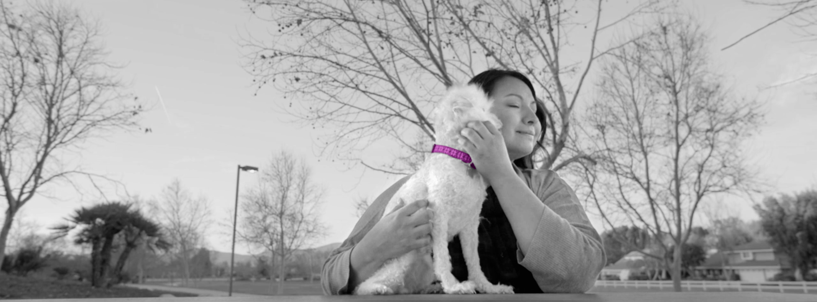 Black and white photo of a woman cuddling a dog. The dog has a purple collar on, the only piece of the photo with color.