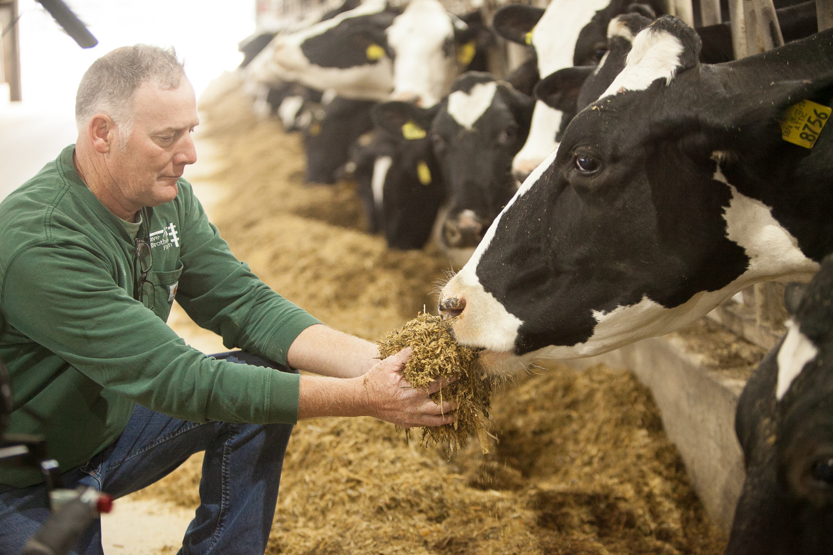 U.S. Dairy Advances Journey to Net Zero Carbon Emissions by 2050