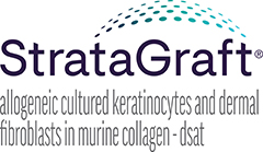 Stratagraft_logo