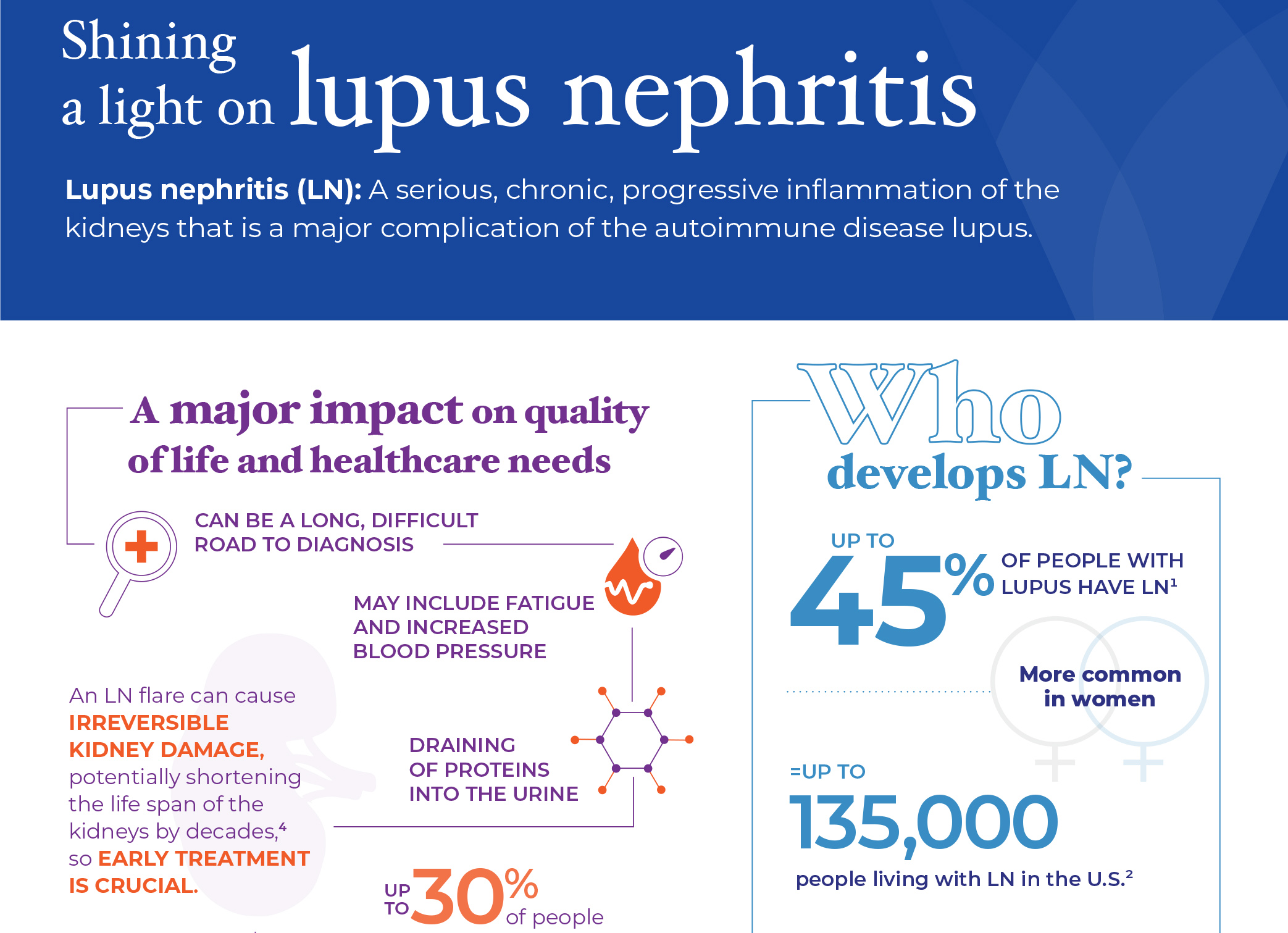 Facts about Lupus Nephritis