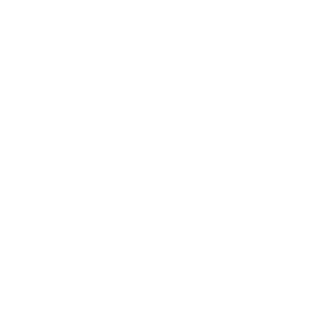 ZmBIZI logo