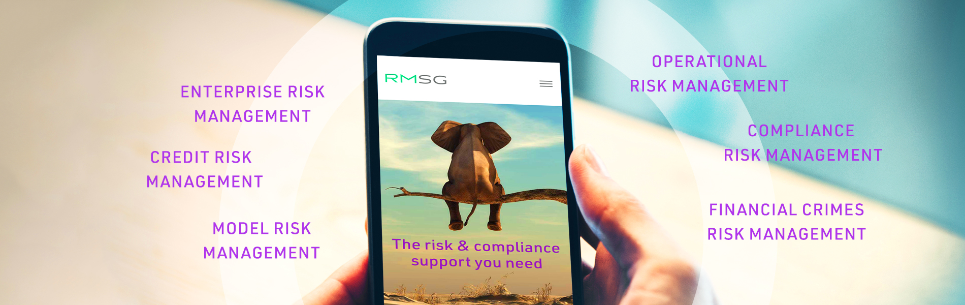 Regulatory and Compliance Services Now Available to Community and Midsize Banks through Risk Management Solutions Group
