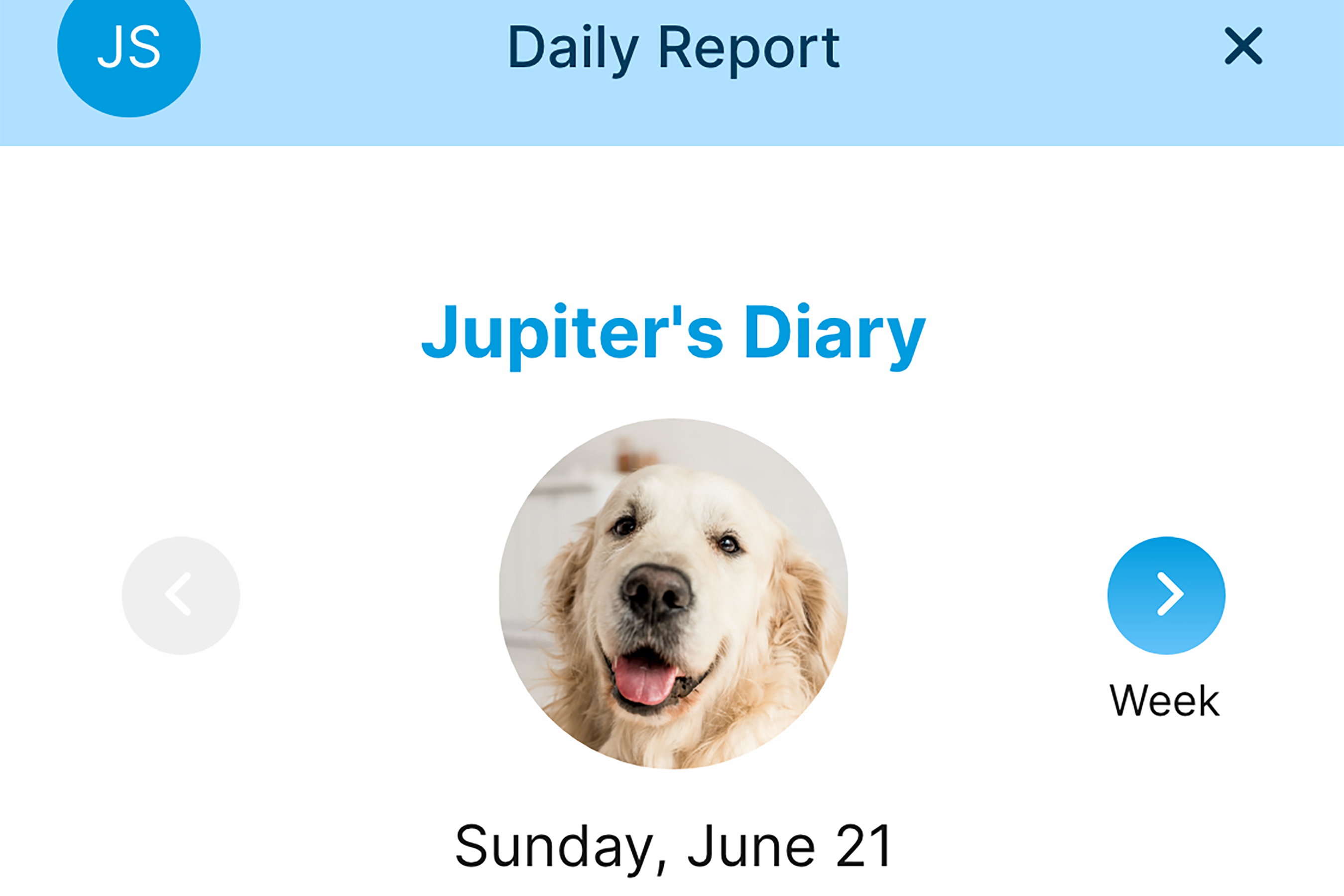 Daily reports screen of app