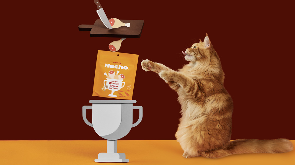 Nacho Flay Introduces CatCrafted Cat Food with the Launch of Made by Nacho