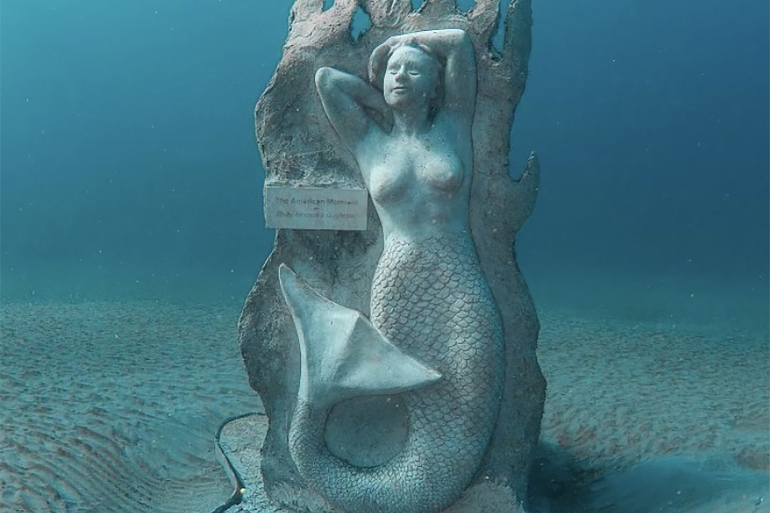 Emily Alexandra Guglielmo The American Mermaid™ Takes a Big Dive to Save Natural Reefs
