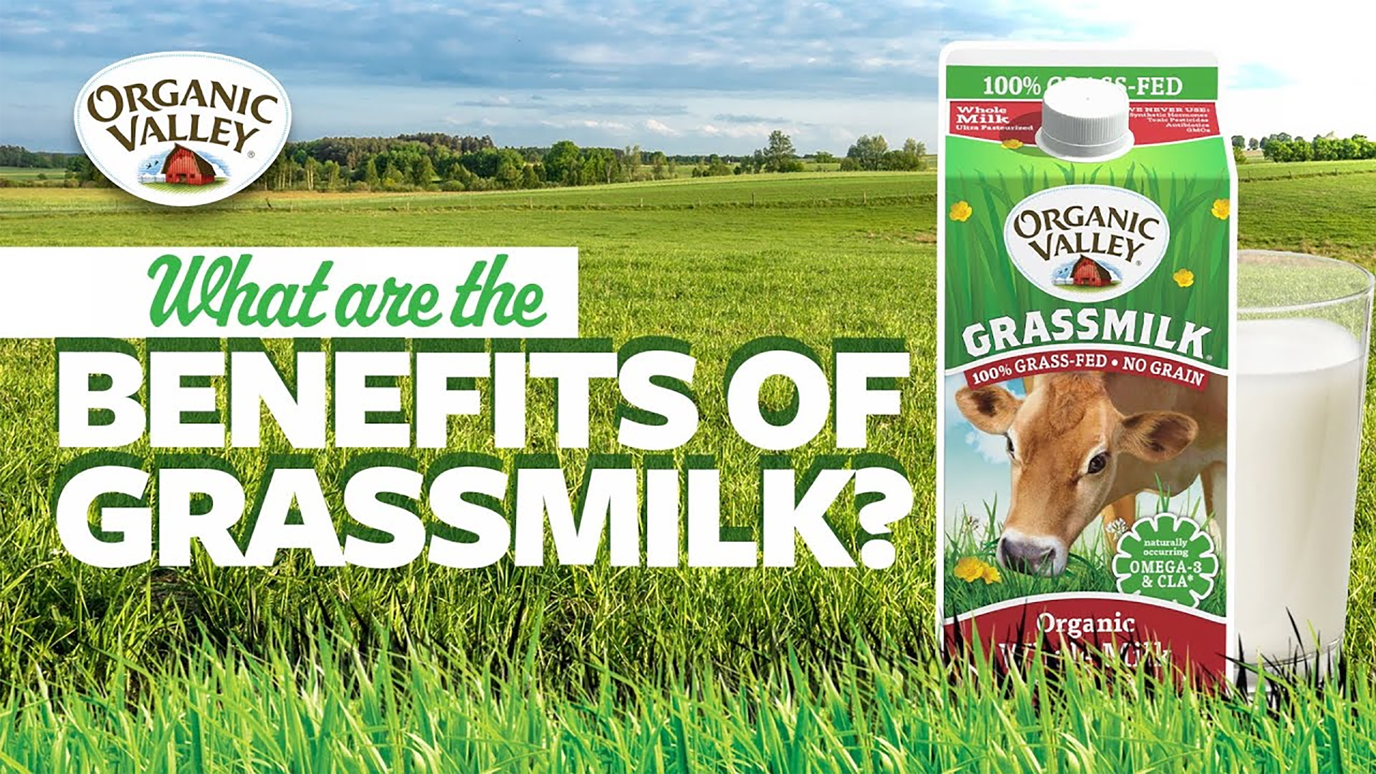 Play Video: What are the Benefits of Grass Fed Milk? | Ask Organic Valley