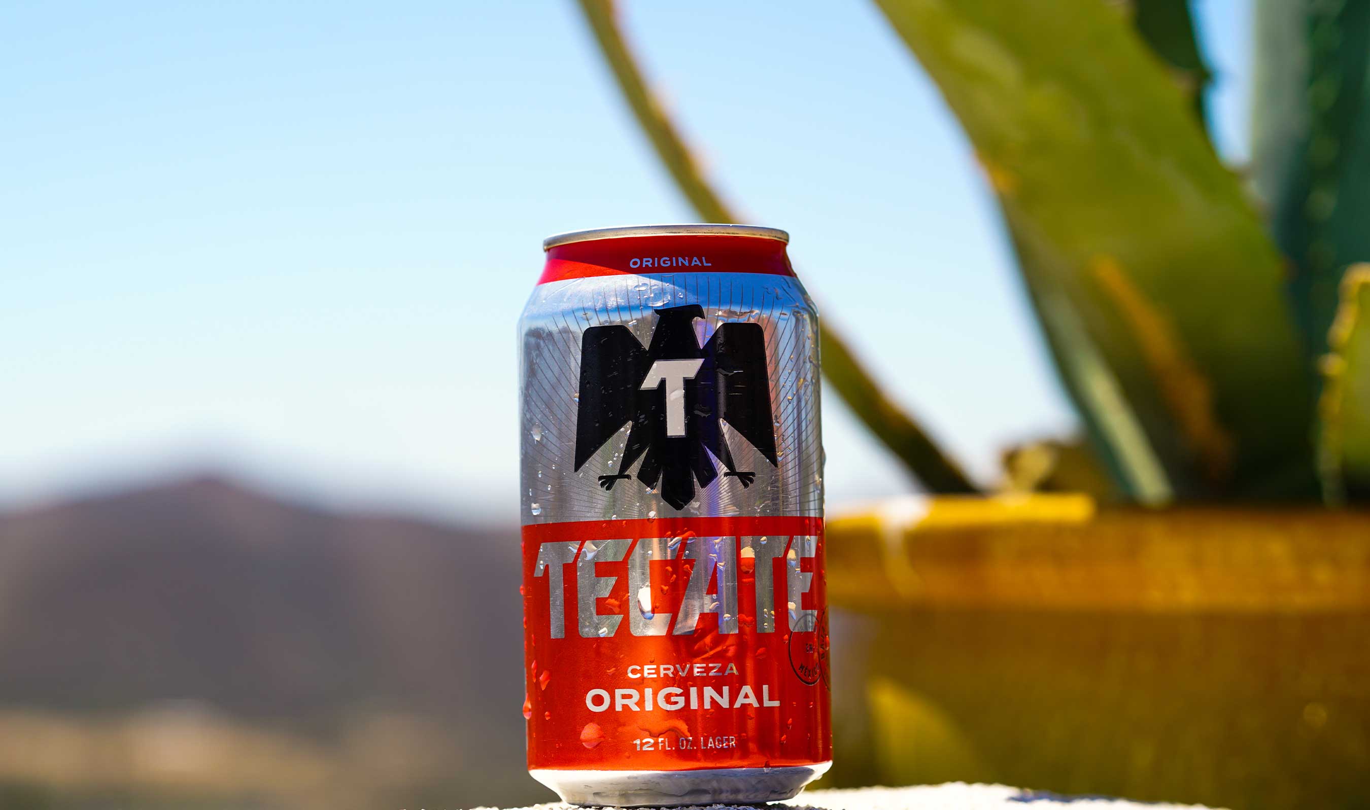 Tecate Original is a full-bodied lager with a refreshing crisp malt flavor and a pleasant aftertaste ? the way a Mexican cerveza should be.