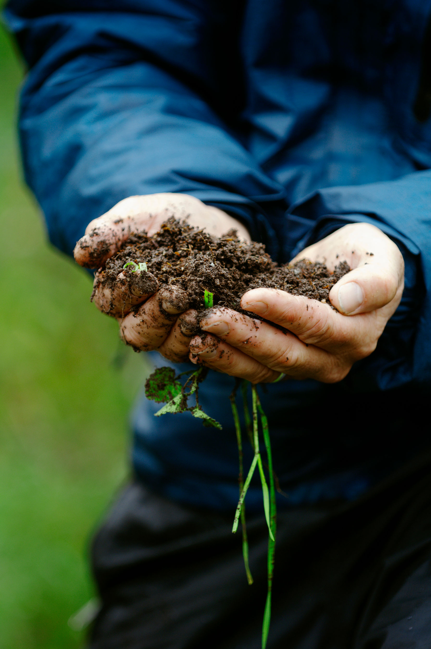The changes we make at the roots of our supply chain will deliver the greatest impact – by reducing emissions, improving water quality, sequestering carbon, and building up the resilience of our soils for the next generation