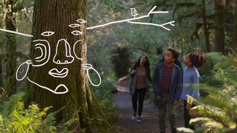The Ad Council and USDA Forest Service Encourage Families to Make the Forest Part of Their Story