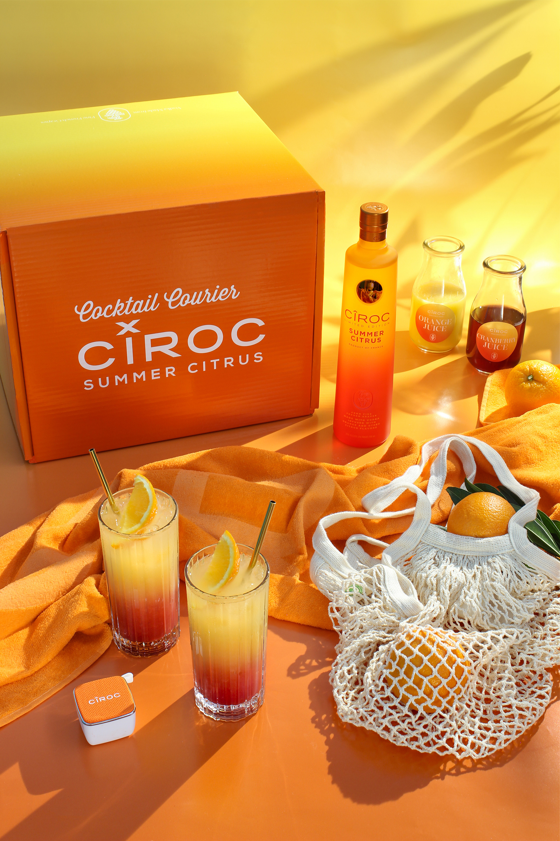 Business Mogul Sean “Diddy” Combs And Diamond Selling Recording Artist