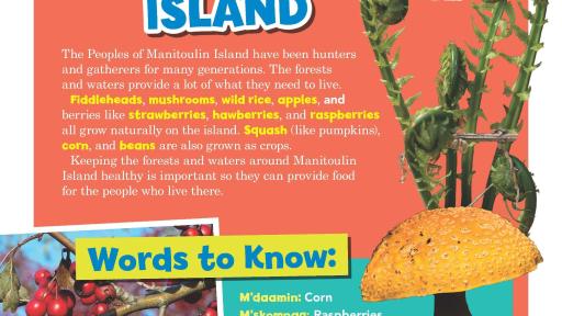 Food of Manitoulin Island with Owlkids