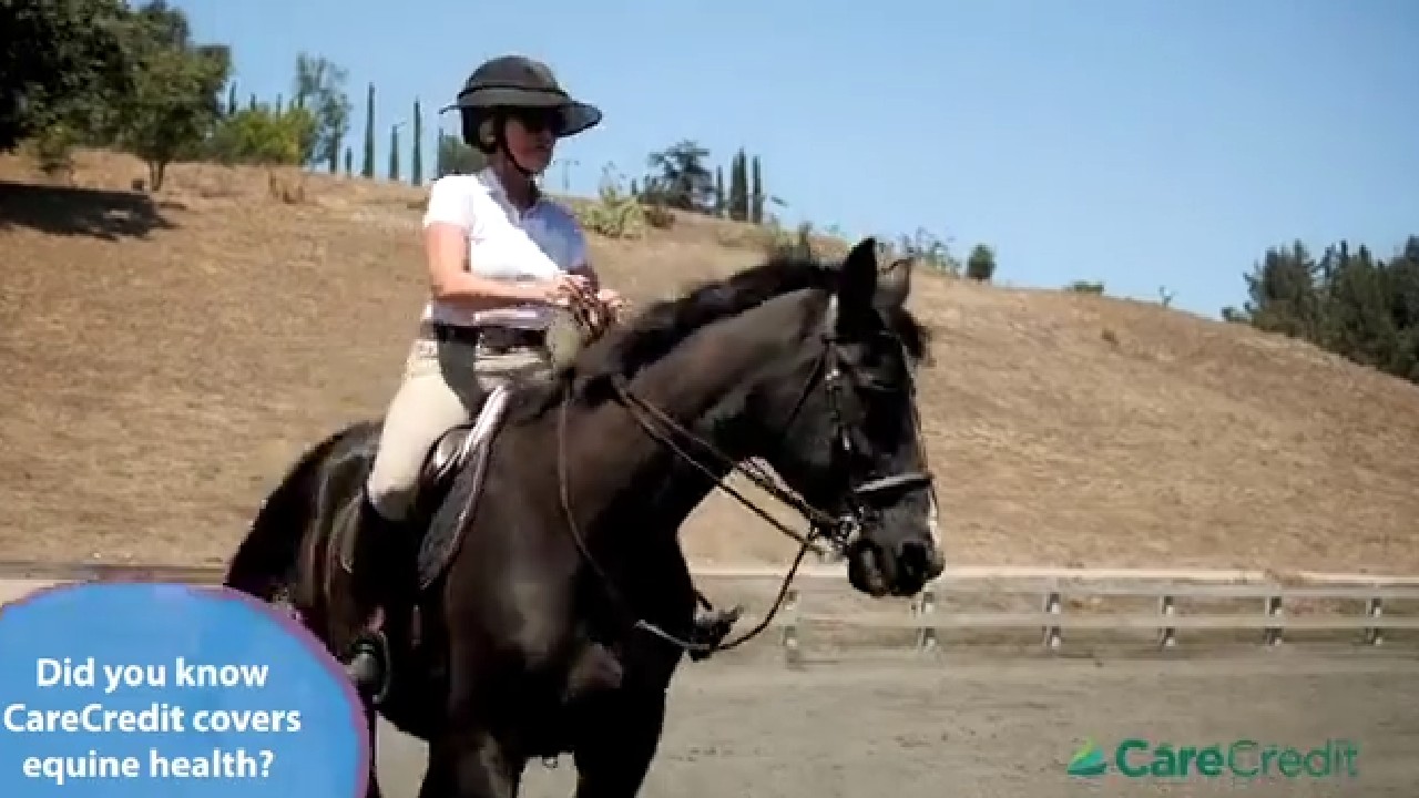 When Cindy, a horse owner, learned that her horse, Axle, would need three eye surgeries she turned to CareCredit to help pay for her Axle’s care.