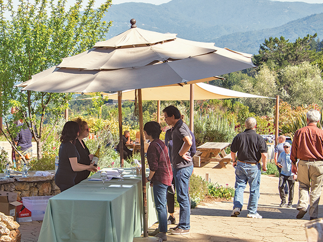 Experience the Excitement of the Annual Harvest Season During California Wine Month