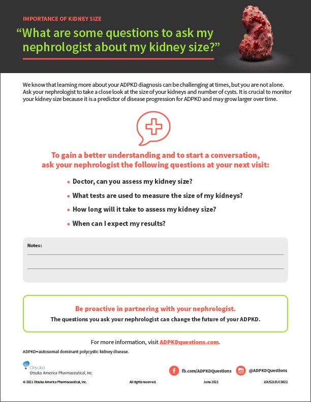 What are some questions to ask my nephrologist about my kidney size?