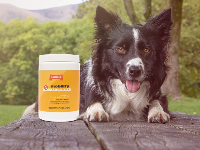 New Vet-recommended Daily Supplement Bites with Tailored Ingredients like Glucosamine and Chondroitin to help support your dog’s hip and joint health, improve mobility and flexibility, and reduce inflammation.