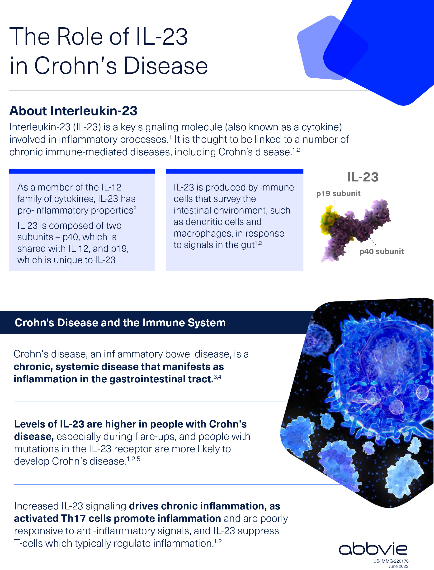 Crohn's Disease Fact Sheet - IL 23