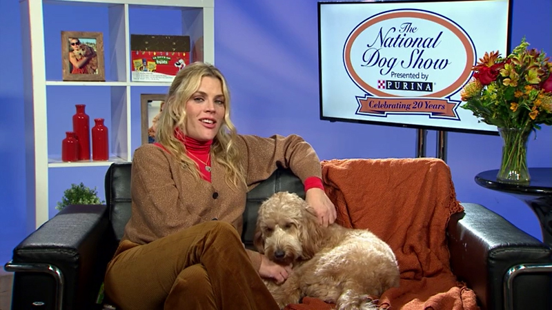 Purina Celebrates The 20th Anniversary Of The National Dog Show...