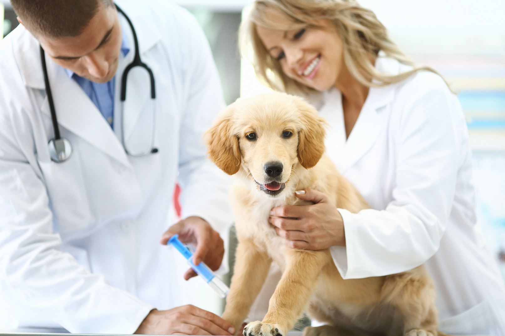 On behalf of its pet and vet financial solutions – CareCredit and Pets Best – Synchrony commissioned the “Lifetime of Care” study to help shed light on the lifetime cost associated with pet care.