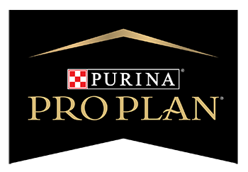 pro plan logo